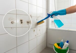 Schimmel im Bad entfernen: schnell und sicher