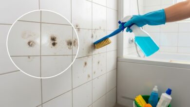 Schimmel im Bad entfernen