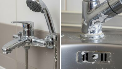 Eingefressener Kalk: Entfernen und vorbeugen