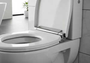 Klodeckel mit Absenkautomatik – Leiser Luxus fürs WC