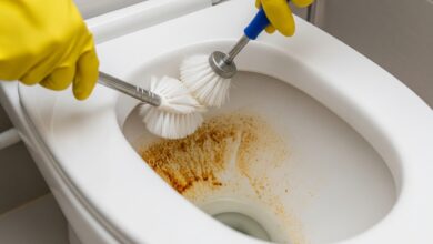 Braune WC-Ablagerungen entfernen