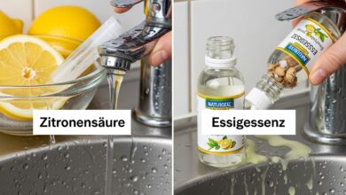 Zitronensaeure vs Essigessenz